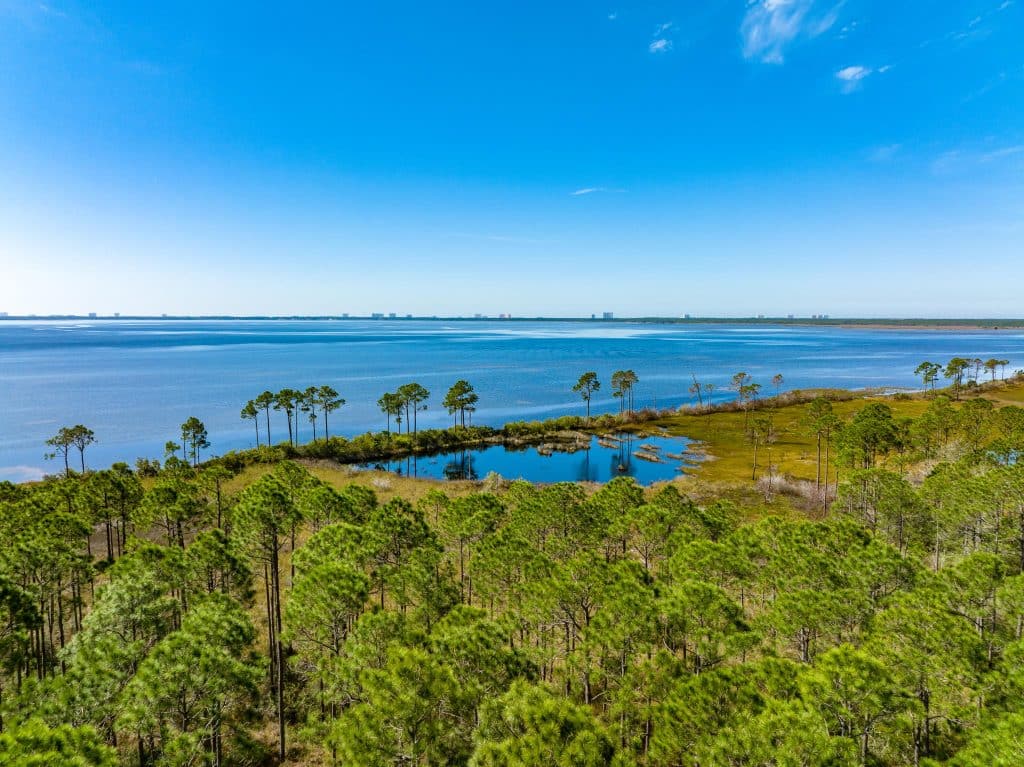 MLS image coastal hammock trail land available with JAC Homes & Development in the Florida panhandle